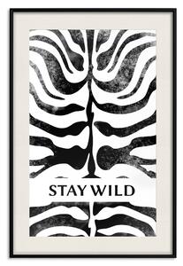 Plakát Stay Wild - nápis v angličtině na černobílém zebrovaném pozadí