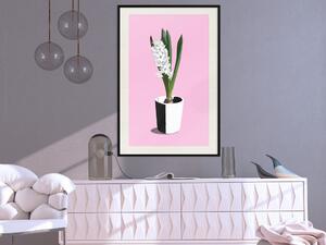 Plakát Květinová jemnost - rostlina v květináči na růžovém pastelovém pozadí