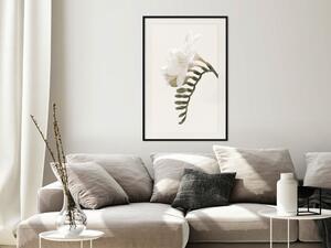 Plakát Jarní péří - kompozice bílých jarních květů na béžovém pozadí