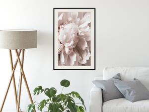 Plakát Rytmická něžnost - světle růžové květiny v přírodní kompozici