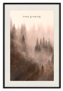 Plakát Růst - anglické texty a lesní krajina s mlhavými stromy