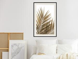 Plakát Kokosová palma
