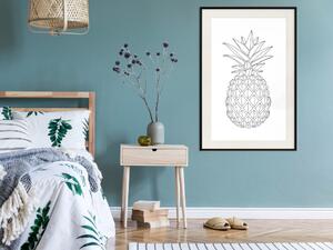 Plakát Ovocný náčrt - line art tropického ovoce na jednolitém bílém pozadí