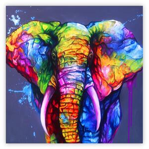 Plakát Duha slon - abstraktní velký barevný slon na modrém pozadí
