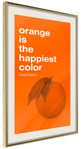 Artgeist Orange Colour Velikosti (šířkaxvýška): 20x30, Finální vzhled: Černý rám s paspartou