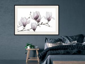 Plakát Malované magnolie - kompozice rostlin s bílými květy na světlém pozadí