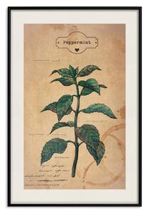 Plakát Mátová Fantazie - kompozice s zelenou rostlinou a papírovým listem v pozadí