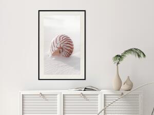 Plakát Srpnová Vrstva - mořská kompozice s lasturou na písku