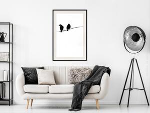 Plakát Ptáčí Hovory - ptáci sedící na čáře na jednolitém bílém pozadí