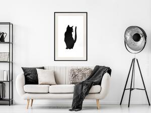 Plakát Zvědavá kočka