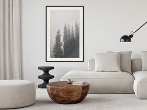 Plakát Vůně lesní mlhy - šedá krajina mlžných smrkových stromů