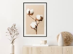 Plakát Jemná nasycenost - rostlina s bavlněným květem na světlém jednolitém pozadí