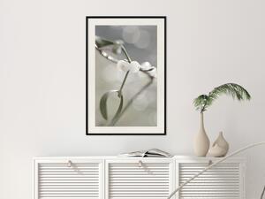 Plakát Mlžná čistota - kompozice rostliny s bílým květem na pozadí přírody