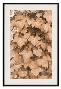 Plakát Podzimní břečta - kompozice listů na živém plotě v sepiích