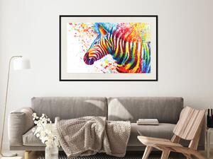 Plakát Zebra horizontální