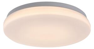 Rabalux 77133-LED Koup. stropní svítidlo LOWAR LED/12W/230V IP44 3000/4000/6000K