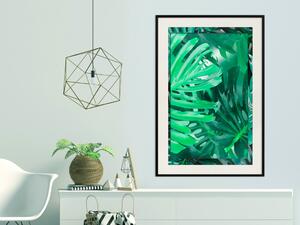 Plakát Hluboká džungle - zelená kompozice listů z tropického deštného pralesa