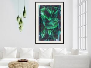 Plakát Nebezpečná džungle - zelená kompozice listů v tropickém stylu