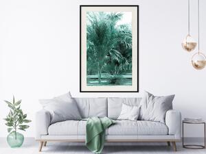 Plakát Tyrkysová laguna - tropická krajina s palmami v tyrkysovém kontrastu