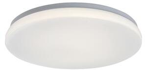 Rabalux 77140 - LED Koup. strop. svítidlo se senzorem LOWAR 24W/230V 4000K IP44