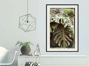 Plakát Šlechetnost džungle - tropická kompozice zelených listů monstery