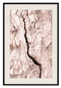 Plakát Dotek tropického větru - přírodní textura popraskaného dřeva