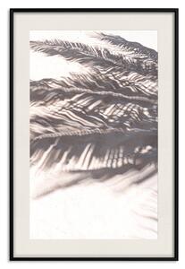 Plakát Odpočinek ve stínu - tropická kompozice stínu palmy na písku