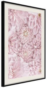 Plakát Květiny rána - kompozice růžových květů v romantickém motivu