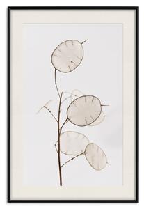 Plakát Sluneční směr - jednoduchá kompozice jasných rostlin na bílém pozadí
