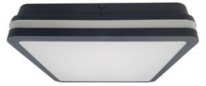 LED Koup. stropní svítidlo ELLÉ LED/24W/230V 3000/4000/6500K 26x26 cm IP54 antr