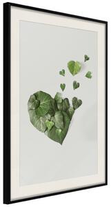 Plakát Milostný břečťan - krásná kompozice s zelenými rostlinami na bílém pozadí