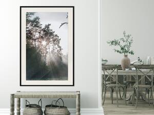 Plakát Nová naděje - lesní krajina mezi stromy se východem slunce v pozadí