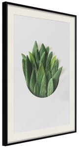 Plakát Vonící kruh - rostlinná kompozice s zelenými listy na bílém pozadí