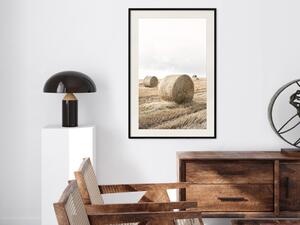 Plakát Seno - venkovská krajina s výhledem na hnědá pole během sklizně