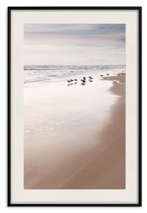 Plakát Podzimní pláž - mořský výhled pláže s kachnami na pozadí jasné oblohy