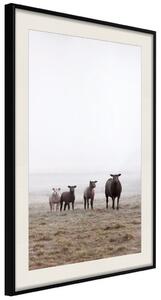 Plakát Přátelé ráno - krajina pole se zvířaty na pozadí mlhy