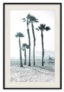 Plakát Palmy ve větru - plážová krajina s velkými palmami na jasném pozadí