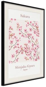Plakát Sakury - anglické texty a japonská rostlina s růžovými květy