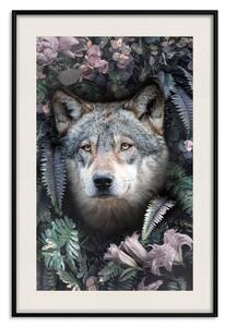 Plakát Vlk v květinách