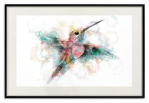 Plakát Barevný kolibřík