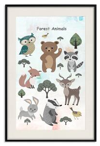 Plakát Lesní zvířata