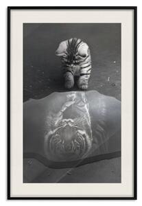 Plakát Dravé zvíře - fotografie kočky s odrazem tygra v kaluži