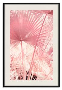 Plakát Růžové palmy - pastelově zbarvené listy za slunečného dne