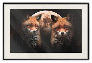 Plakát Lesní pár - dvě lišky a měsíc na hvězdné noční obloze