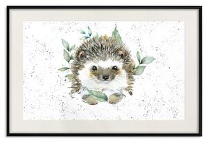 Plakát Ježek - roztomilé malované zvířátko a rostliny na puntíkatém pozadí