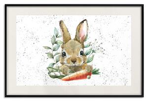 Plakát Zajíc s mrkví - malovaný králík s zeleninou na puntíkatém pozadí