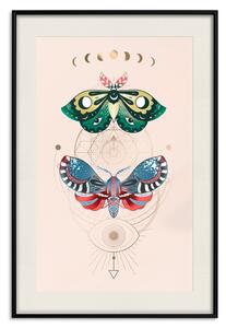Plakát Kouzelný hmyz - geometrické esoterické znaky a barevné můry