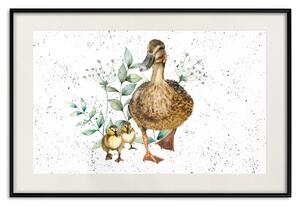 Plakát Rodina kachen - Roztomilá malovaná zvířata a rostliny na tečkovaném pozadí