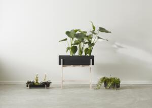 Květník se stojanem Botanic Box Black Design House Stockholm
