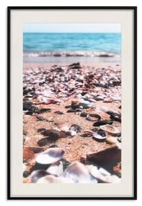 Plakát Letní pláž - fotografie mušlí na břehu modrého moře